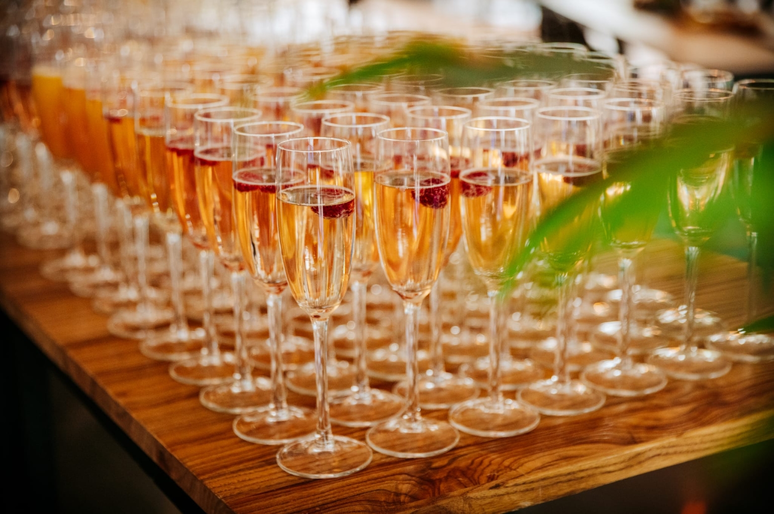 Catering bij Lampe | Catering Raalte en Overijssel | Cateraar.nl