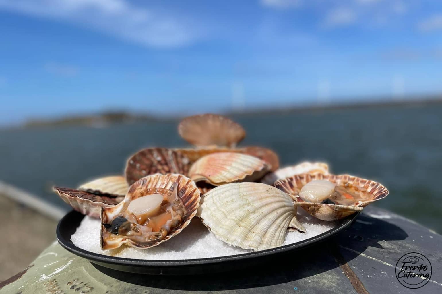 Freriks Catering Catering IJmuiden Noord Holland