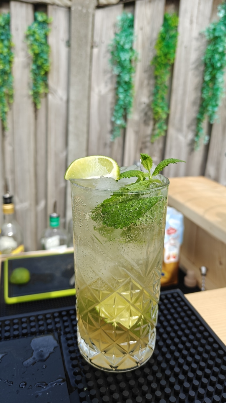 Professionele barman in Krommenie