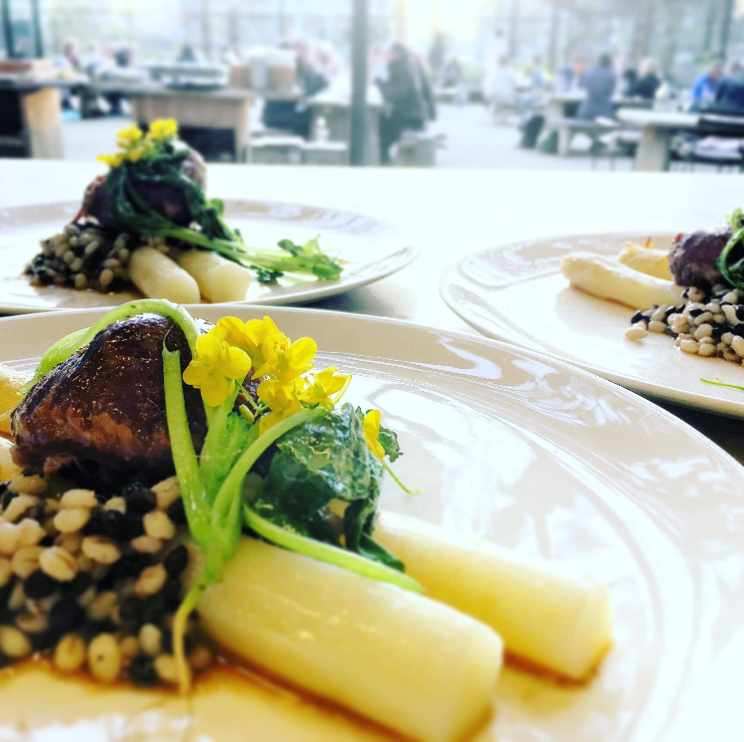 Marcel Kookt | Amsterdam