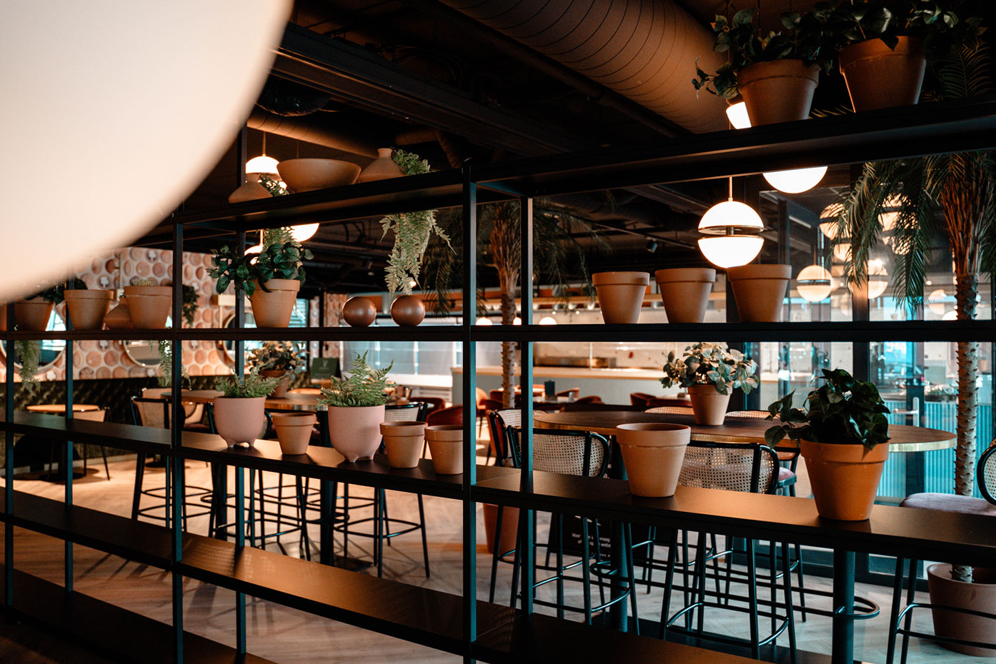 Veridius Catering | Rijswijk